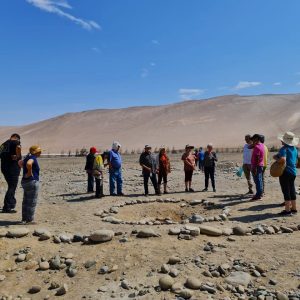 Tour Arqueológico por los Valles de Azapa y Lluta