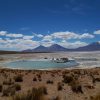Excursión Salar de Surire y Termas de Polloquere - Imagen 2