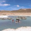 Excursión Salar de Surire y Termas de Polloquere - Imagen 11