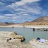 Excursión Salar de Surire y Termas de Polloquere - Imagen 8